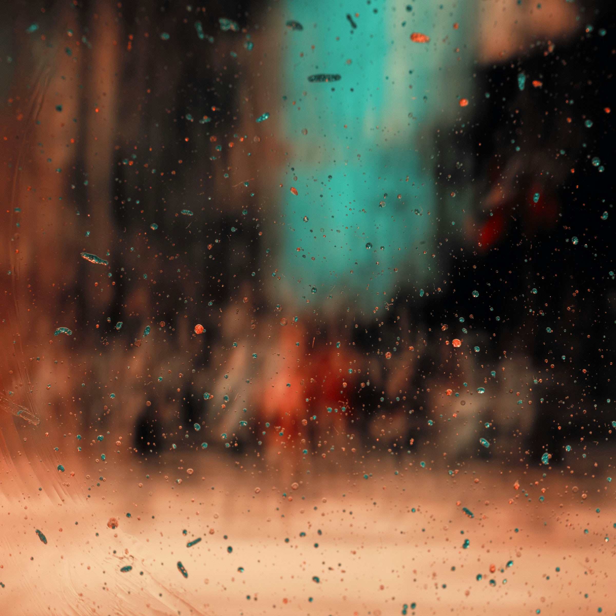 jr-korpa-mLeE_crURPM-unsplash